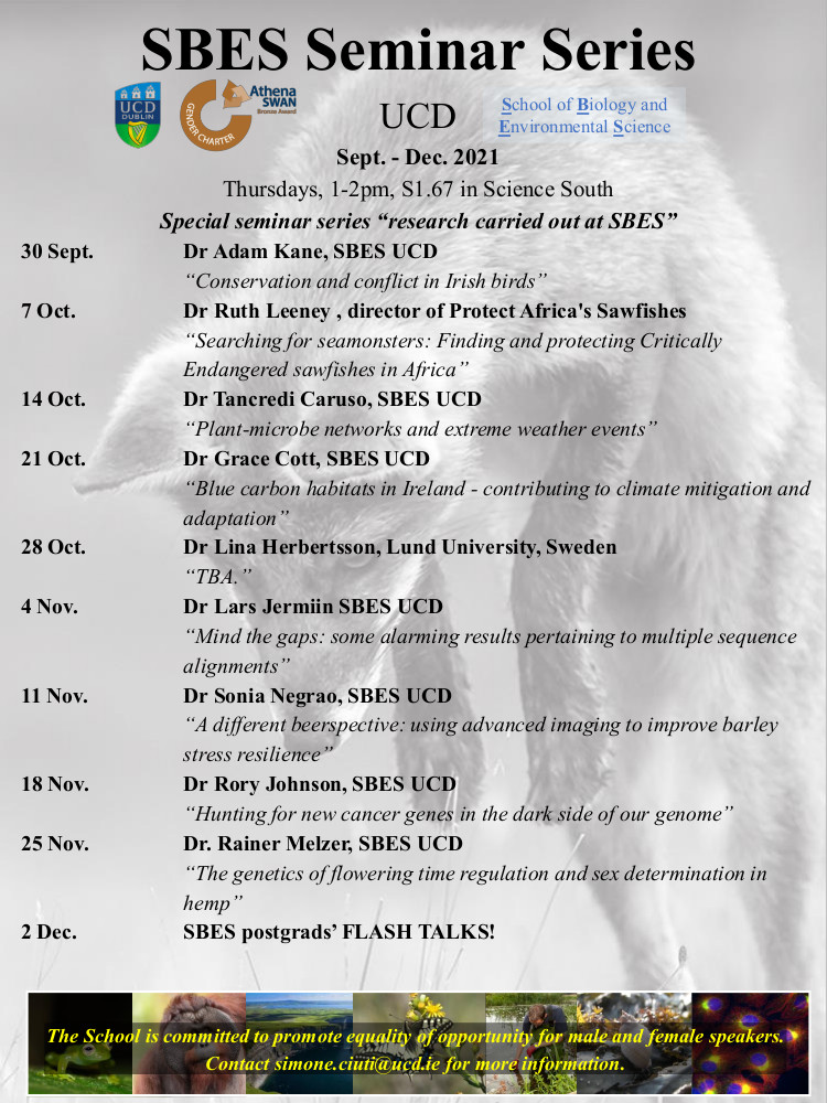 SBES seminar series